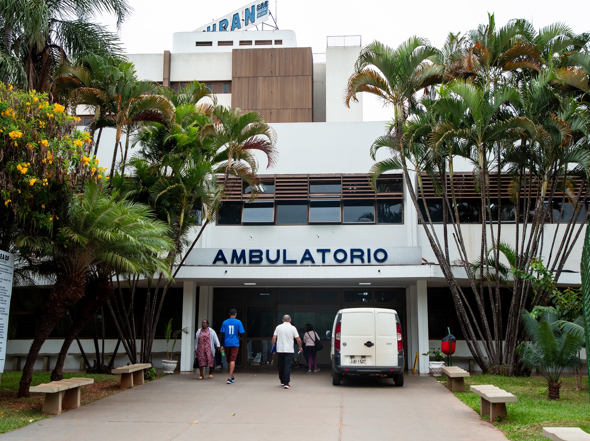 Gripe aviária: DF mantém risco baixo para humanos, mas reforça vigilância em saúde