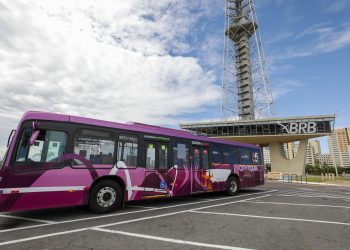 Brasília para todos: tour cívico gratuito movimenta turismo local