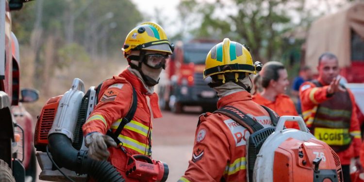Ação rápida dos Bombeiros contêm fogo na FLONA