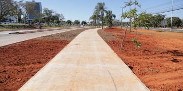 Mais pedal, menos trânsito: ciclovias ganham espaço no DF