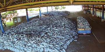 CEB IPes converte sucata em receita e impulsiona modernização da iluminação pública