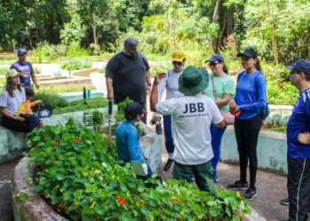 Jardim Botânico aposta em vivências no Cerrado para ações educativas em 2026