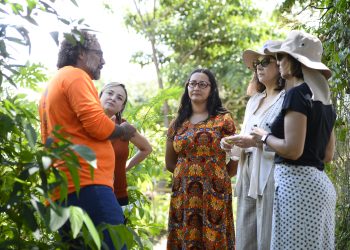 Iniciativa de hortos medicinais do DF ganha destaque internacional durante conferência da FAO