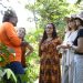 Iniciativa de hortos medicinais do DF ganha destaque internacional durante conferência da FAO