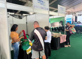 Feira no Taguaparque oferece cursos, serviços e apoio a quem busca emprego