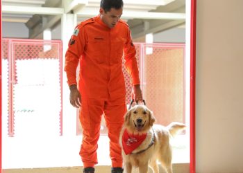 Centro de treinamento de cães do DF recebe visita de comitiva nacional de segurança