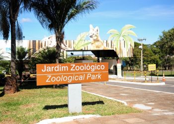 Zoo de Brasília aposta em diversão e gratuidade para atrair público no aniversário da cidade