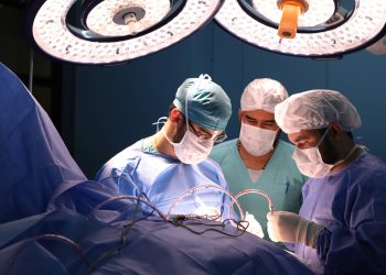 Rascunho automático