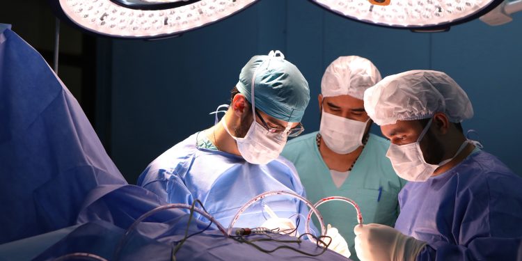 Rascunho automático