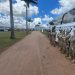 Feira da Goiaba 2026 tem segurança reforçada e atuação destacada da PMDF