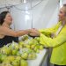 Celina Leão destaca força da produção local na Feira da Goiaba e defende ampliação de mercado para produtores