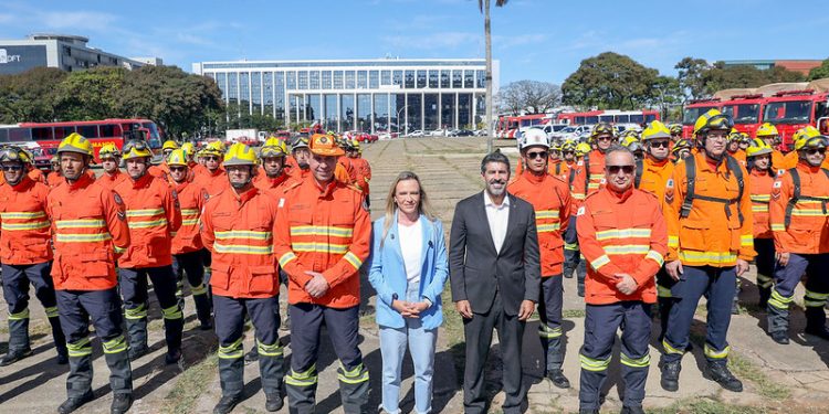 GDF lança Operação Verde Vivo e reforça combate aos incêndios florestais no DF