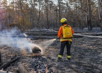 Emergência ambiental no DF reforça prevenção a incêndios florestais