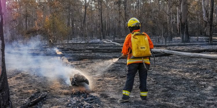 Emergência ambiental no DF reforça prevenção a incêndios florestais