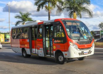 Rascunho automático