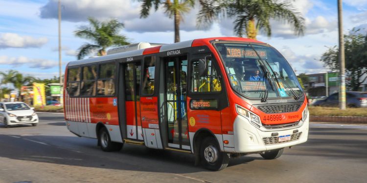 Rascunho automático