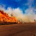 Bombeiros do DF orientam população sobre cuidados durante período de seca