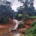 Projeto do GDF mira recuperação ecológica em áreas críticas do Rio Melchior