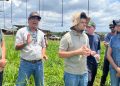 Minas abre inscrições para curso gratuito que ensina agricultura regenerativa e prepara produtores para novos mercados
