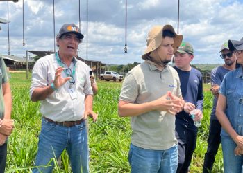 Minas abre inscrições para curso gratuito que ensina agricultura regenerativa e prepara produtores para novos mercados