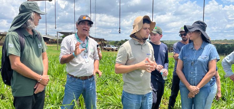 Minas abre inscrições para curso gratuito que ensina agricultura regenerativa e prepara produtores para novos mercados