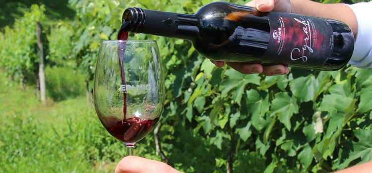 Vinhos brasileiros batem recorde em concurso mundial e técnica desenvolvida em Minas impulsiona resultado histórico
