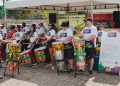 DF tem semana de atrações culturais com teatro, música e exposições gratuitas