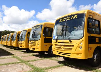 Estudantes da rede pública podem ter acesso ao transporte escolar gratuito; veja as regras