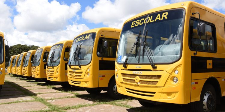 Estudantes da rede pública podem ter acesso ao transporte escolar gratuito; veja as regras