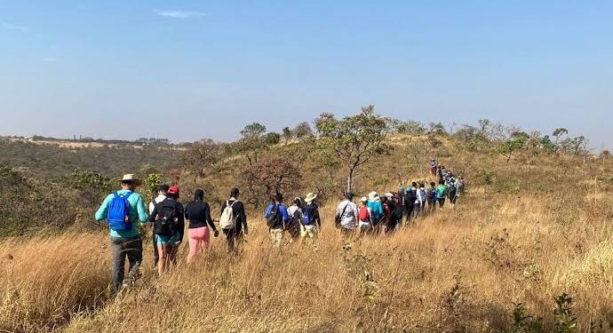 Caminhadas em meio ao Cerrado marcam nova programação ambiental no DF