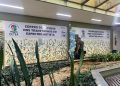 DF inaugura primeiro centro de estudos sobre autismo do Centro-Oeste