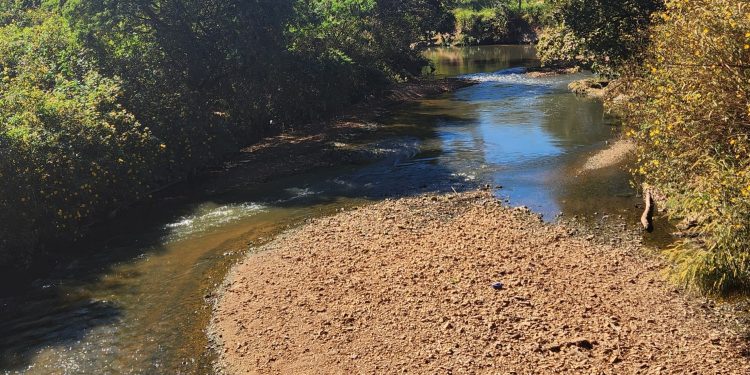 Governo do DF prorroga edital para recuperação ambiental da Bacia do Rio Melchior