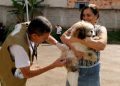 Tutores ganham nova oportunidade para vacinar pets contra a raiva no DF