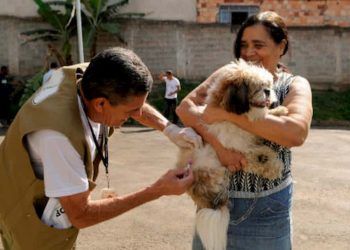 Tutores ganham nova oportunidade para vacinar pets contra a raiva no DF