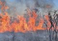 DF enfrenta domingo de combate a incêndios com 54 ocorrências registradas