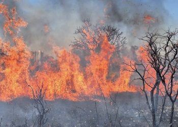 DF enfrenta domingo de combate a incêndios com 54 ocorrências registradas