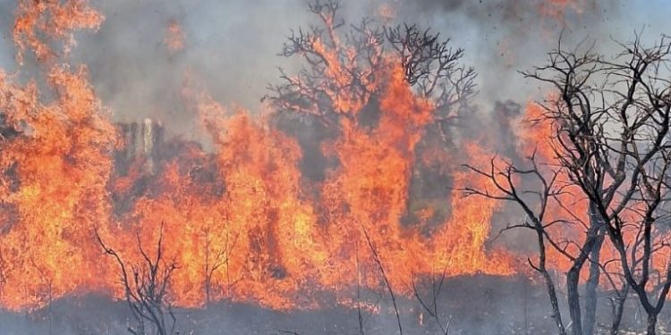 DF enfrenta domingo de combate a incêndios com 54 ocorrências registradas