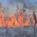 DF enfrenta domingo de combate a incêndios com 54 ocorrências registradas