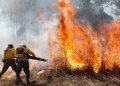 Sem chuva desde junho, DF se prepara para fase crítica dos incêndios florestais