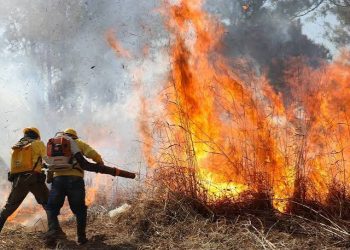 Sem chuva desde junho, DF se prepara para fase crítica dos incêndios florestais
