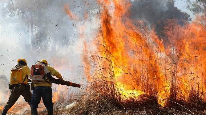 Sem chuva desde junho, DF se prepara para fase crítica dos incêndios florestais