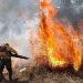 Sem chuva desde junho, DF se prepara para fase crítica dos incêndios florestais