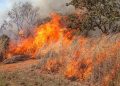 Seca acende alerta: queimar lixo e limpar terreno com fogo é crime ambiental