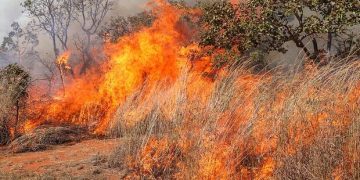 Seca acende alerta: queimar lixo e limpar terreno com fogo é crime ambiental