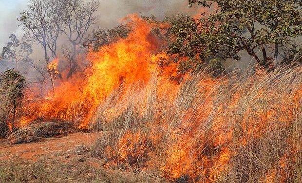 Seca acende alerta: queimar lixo e limpar terreno com fogo é crime ambiental