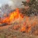 Seca acende alerta: queimar lixo e limpar terreno com fogo é crime ambiental