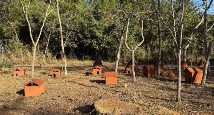 Festival de arte transforma paisagem do Jardim Botânico de Brasília