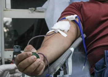 Hemocentro adota novas regras que ampliam acesso à doação de sangue