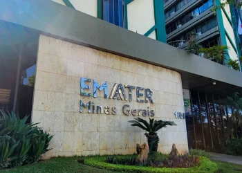 Emater-MG abre concurso público com 120 vagas e salários de até R$ 7,3 mil