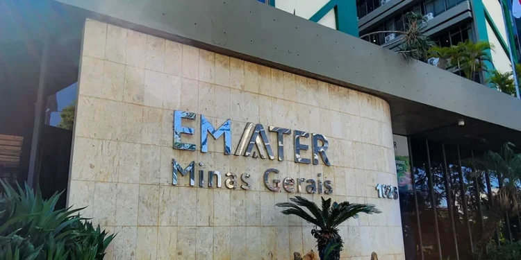 Emater-MG abre concurso público com 120 vagas e salários de até R$ 7,3 mil